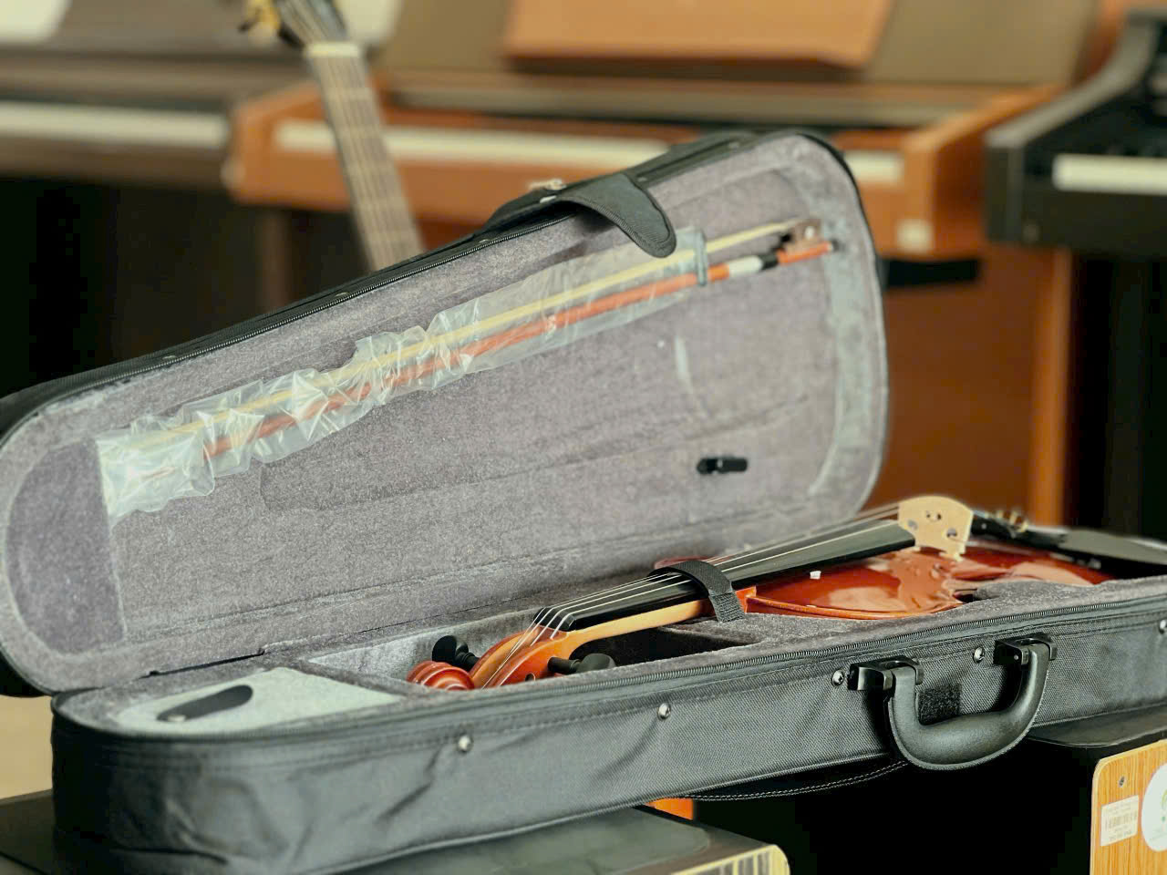 Mua violin giá rẻ tại Long An