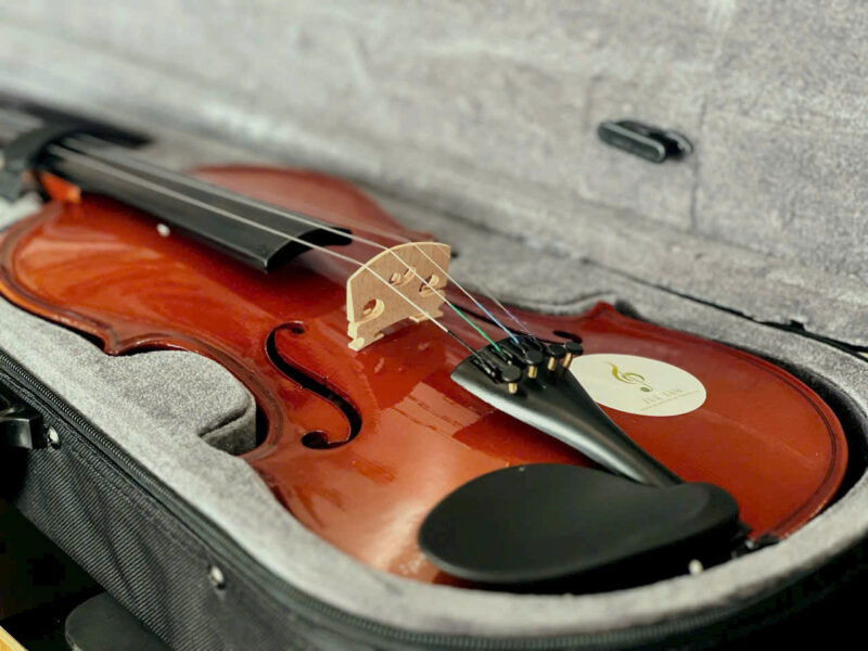 Violin-omebo-rv205 (8)