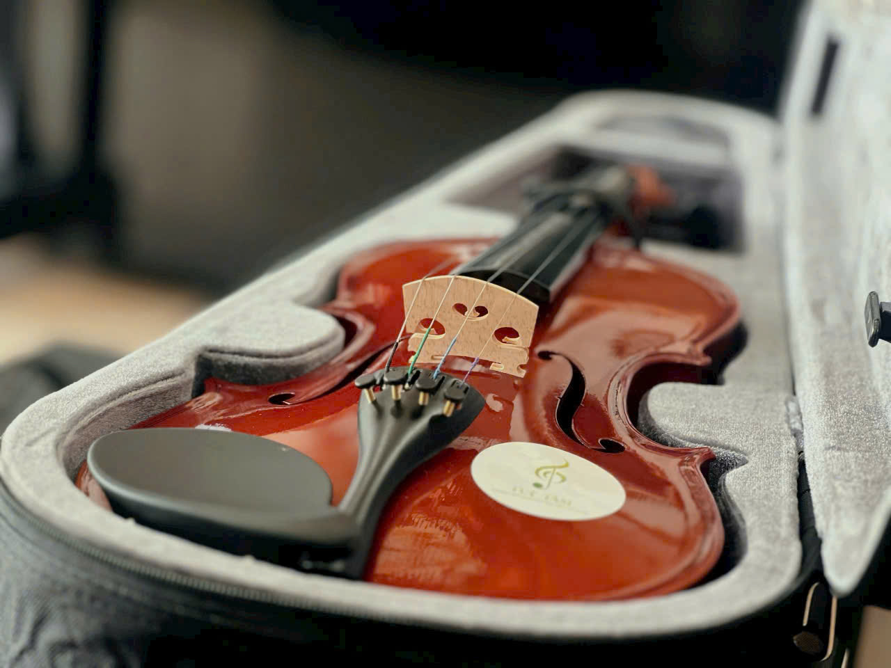 violin dưới 2 triệu tại Tây Ninh