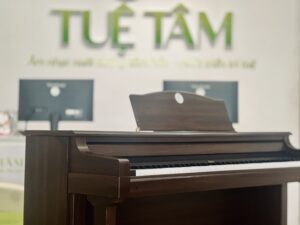 Lớp piano buổi tối Tây Ninh