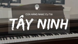 Cua-hang-nhac-cu-tai-tay-ninh (1)