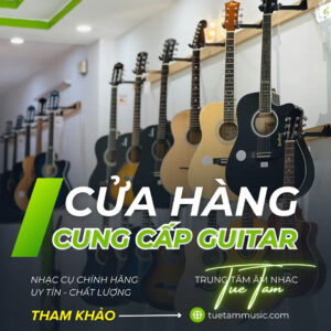 Cua-hang-nhac-cu-tai-tay-ninh (1)