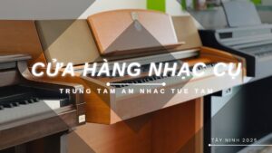 Cua-hang-nhac-cu-tai-tay-ninh (2)