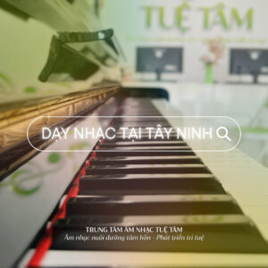 Cua-hang-nhac-cu-tai-tay-ninh (2)