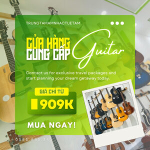 Cua-hang-nhac-cu-tai-tay-ninh (6)