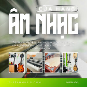 Cua-hang-nhac-cu-tai-tay-ninh (7)