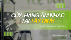 Cua-hang-nhac-cu-tue-tam