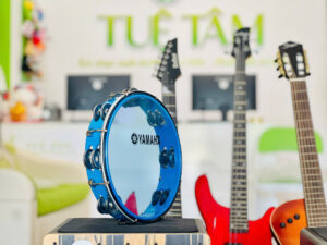 Tambourine-gia-re (5)