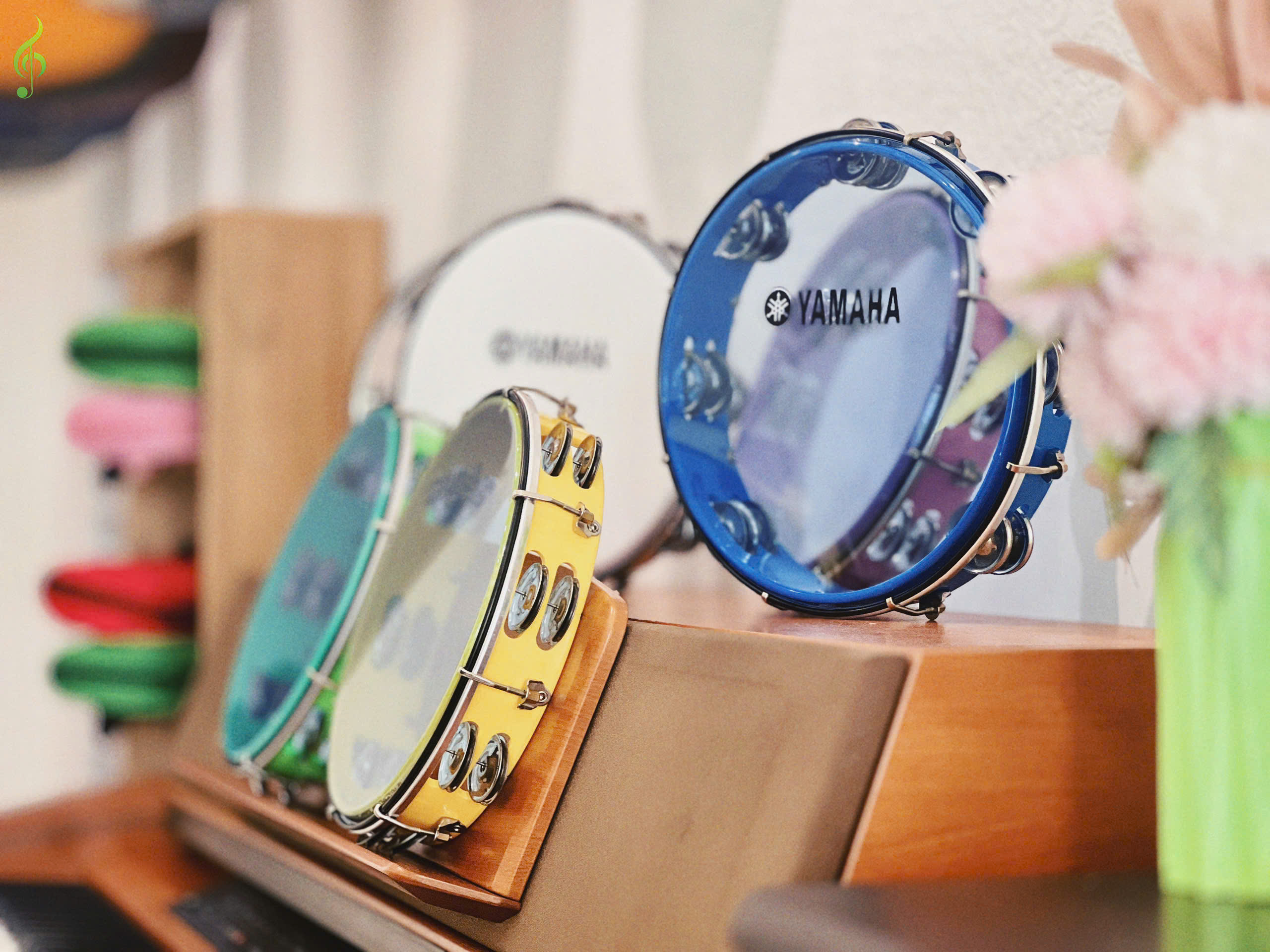 Bán gõ bo giá rẻ tại Trung tâm Âm nhạc Tuệ Tâm Tambourine-mau (3)