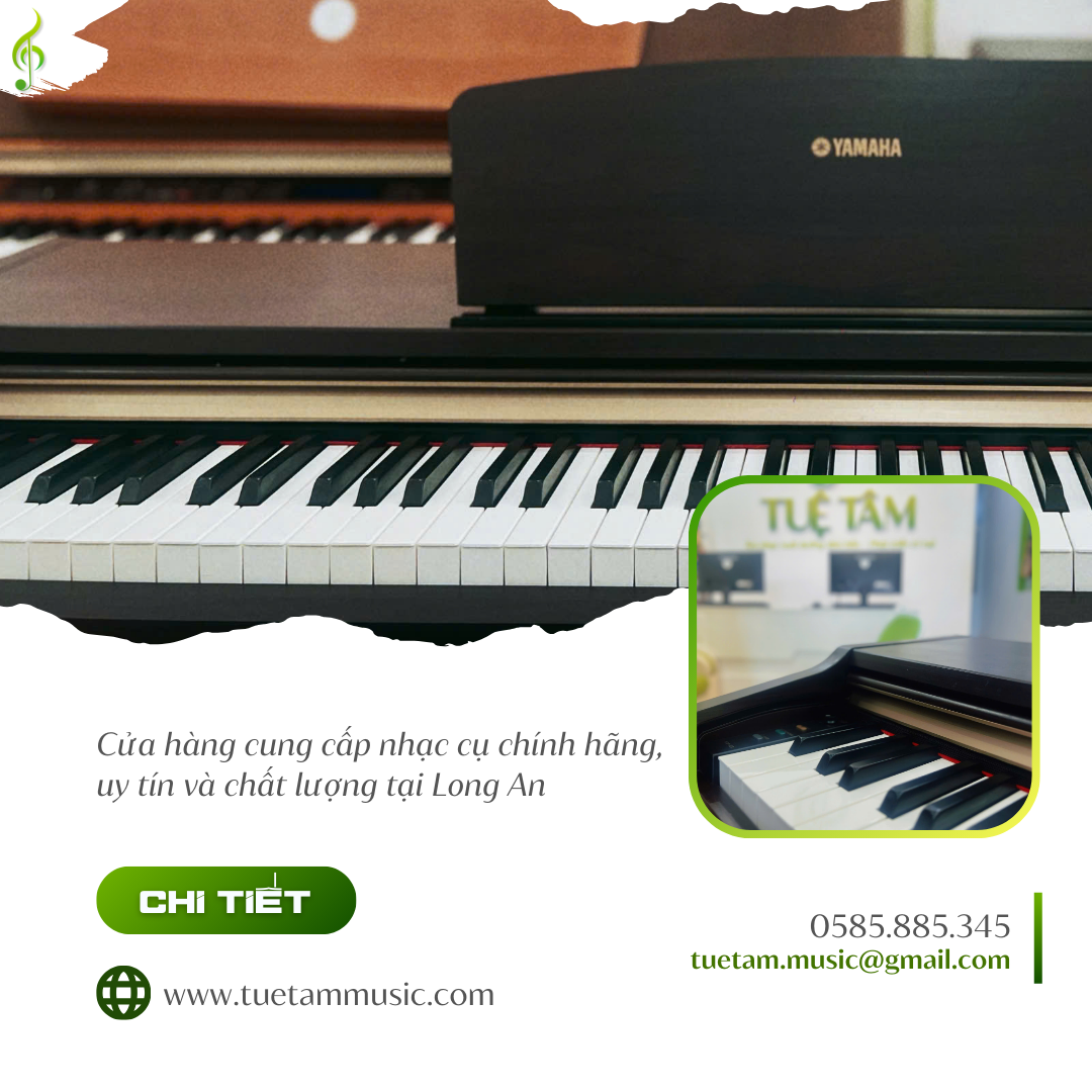 Khóa học âm nhạc mùa hè tại Tây Ninh