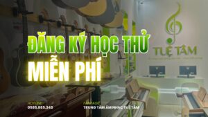 Trung-tam-am-nhac-tue-tam