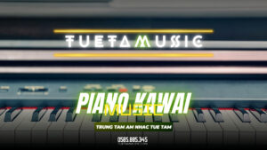 piano điện giá rẻ tại Tây Ninh