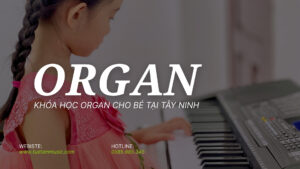 KHÓA HỌC ORGAN CƠ BẢN CHO BÉ TẠI TÂY NINH