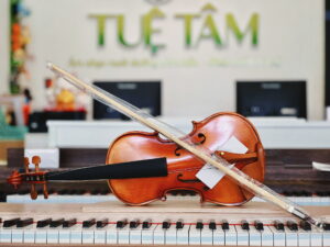 violin cho học sinh – sinh viên ở Tây Ninh
