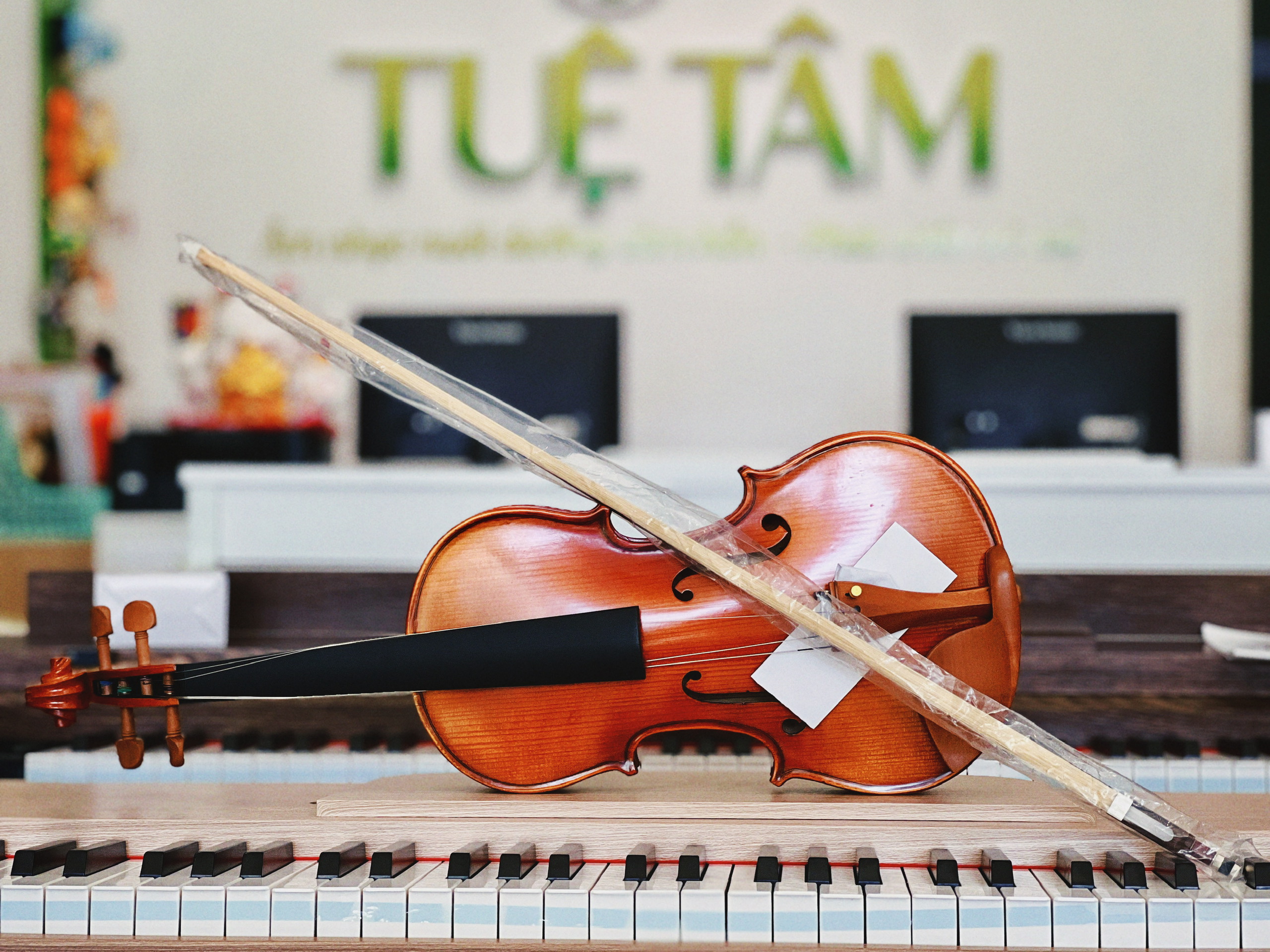 violin cho học sinh – sinh viên ở Tây Ninh