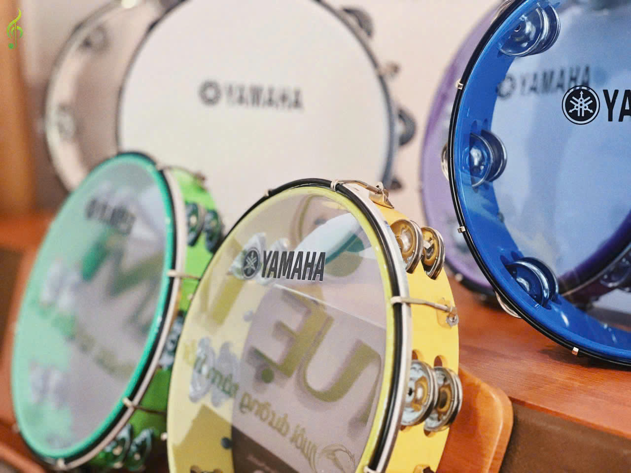 Tambourine dưới 300k tại Tây Ninh