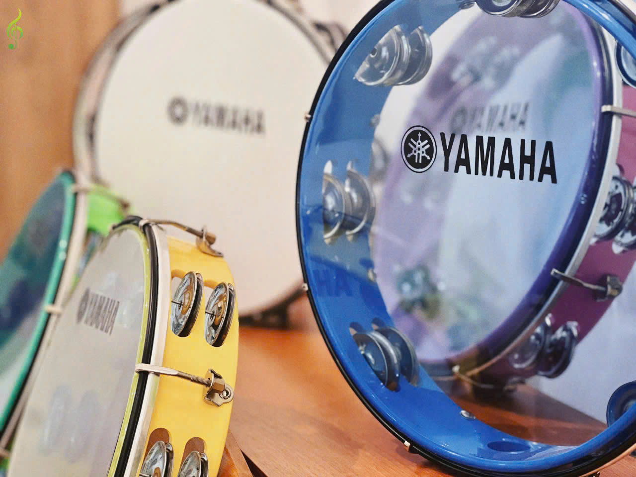 Tambourine dưới 300k tại Tây Ninh