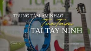Tue-tam-day-dan