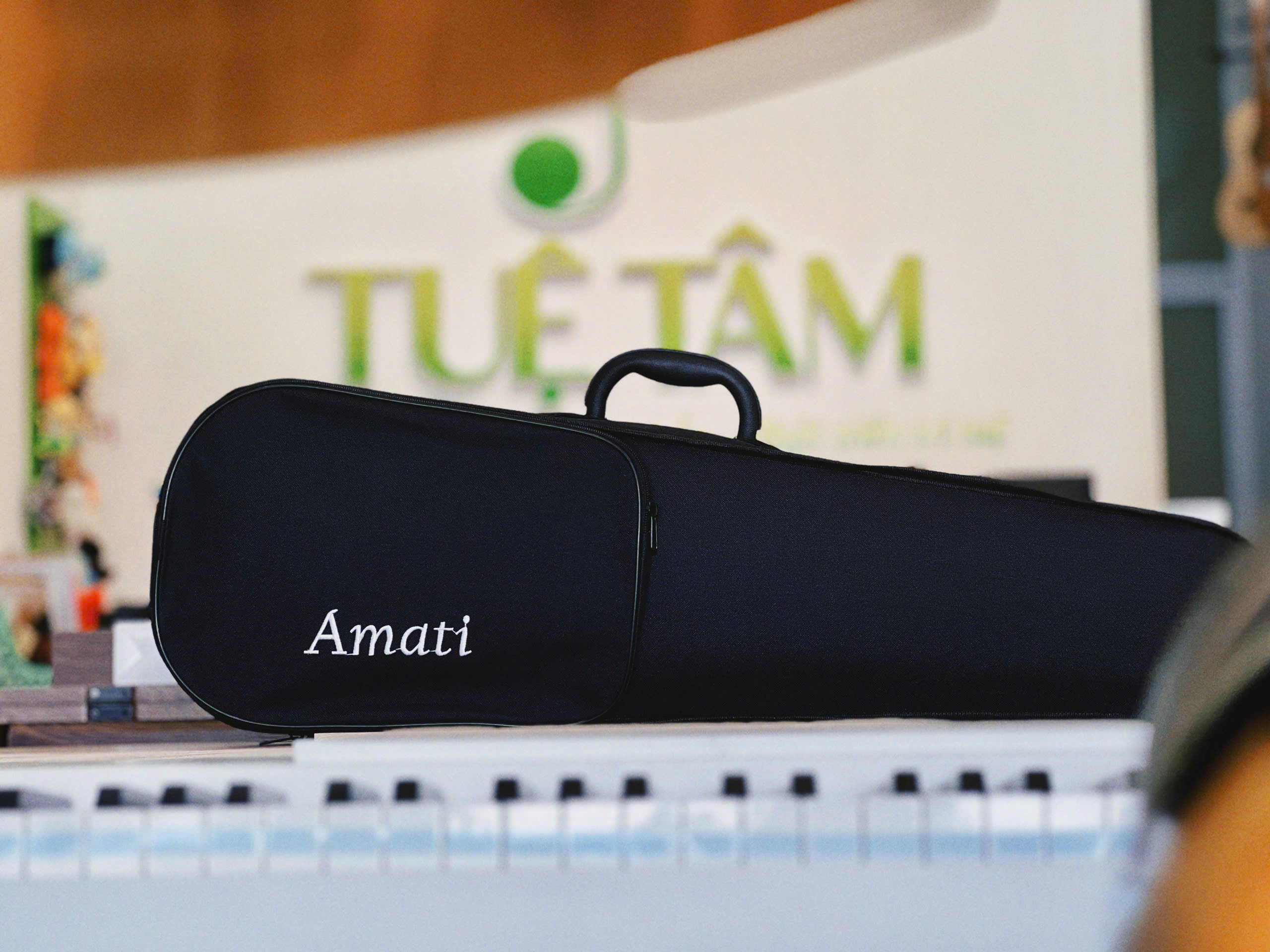 violin dưới 2 triệu tại Tây Ninh