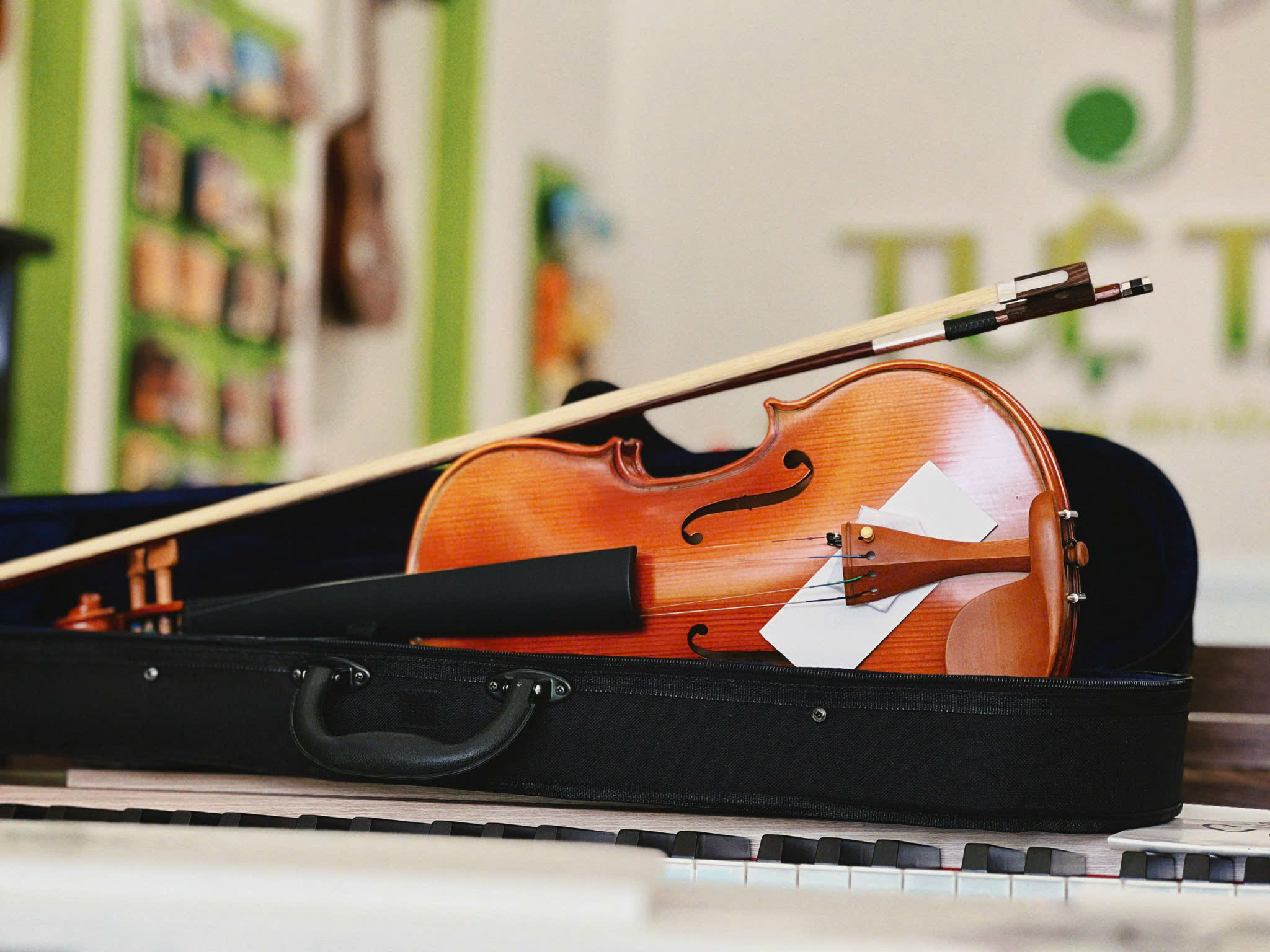 violin giá rẻ tại Tây Ninh