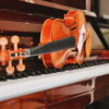 violin giá rẻ tại Tây Ninh