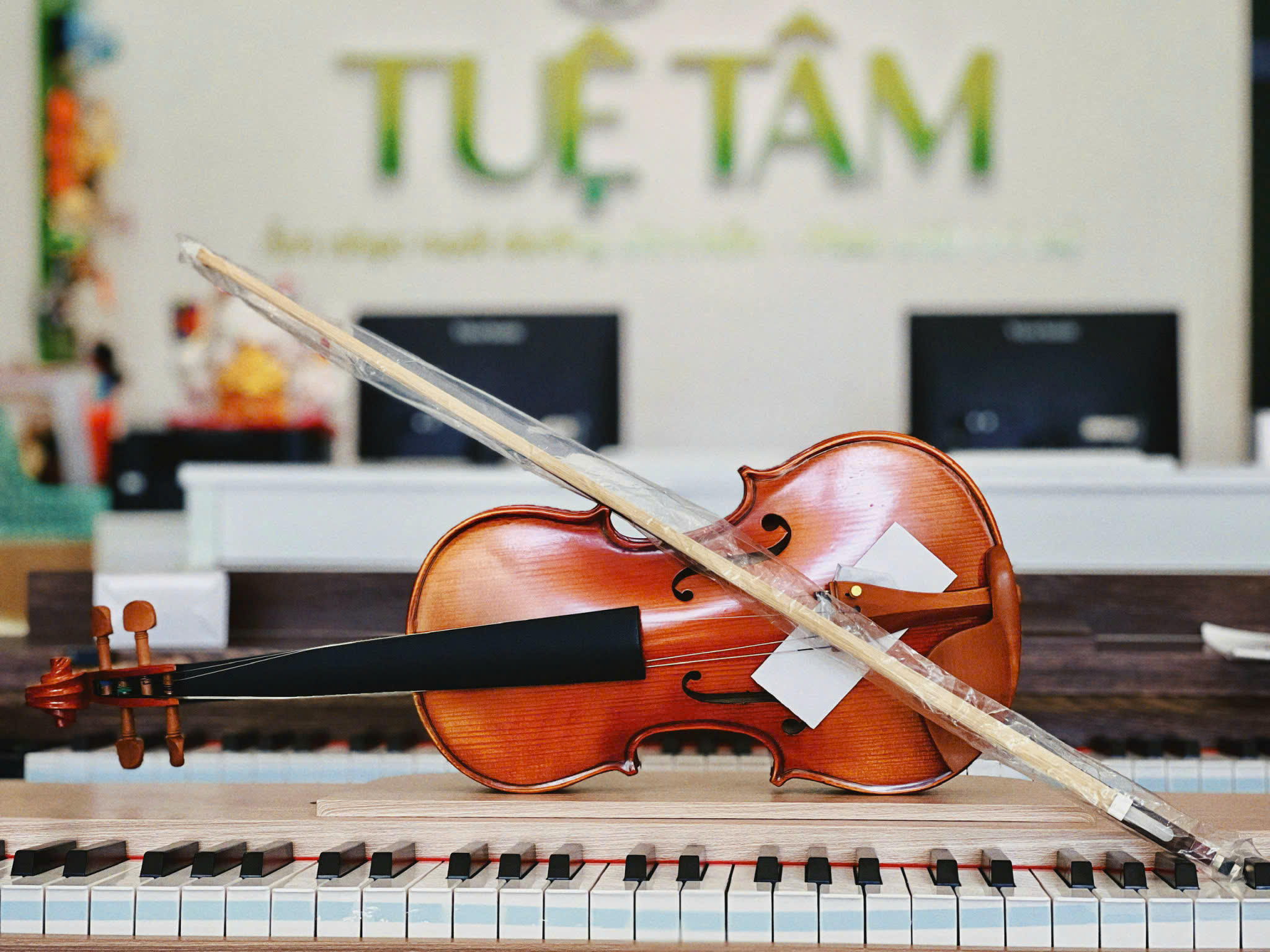 Mua violin giá rẻ tại Long An