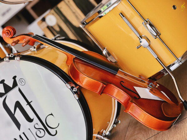 Violin-amati-vw30m (6)