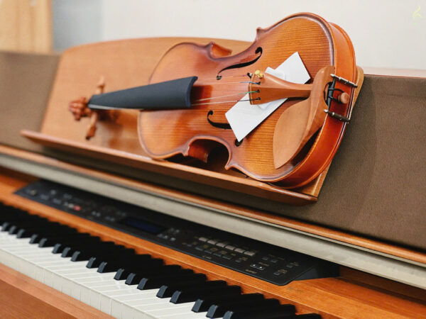 Mua violin giá rẻ tại Long An