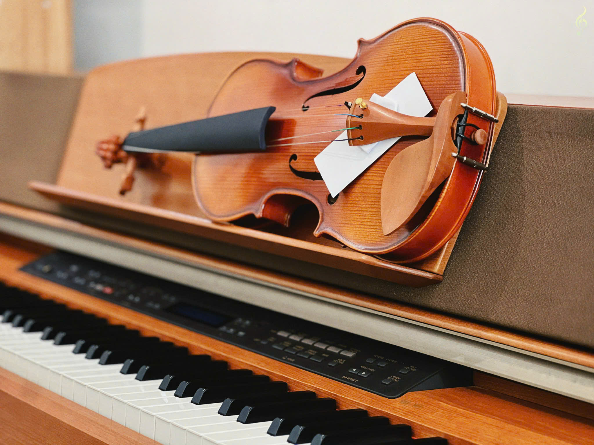 Mua violin giá rẻ tại Long An
