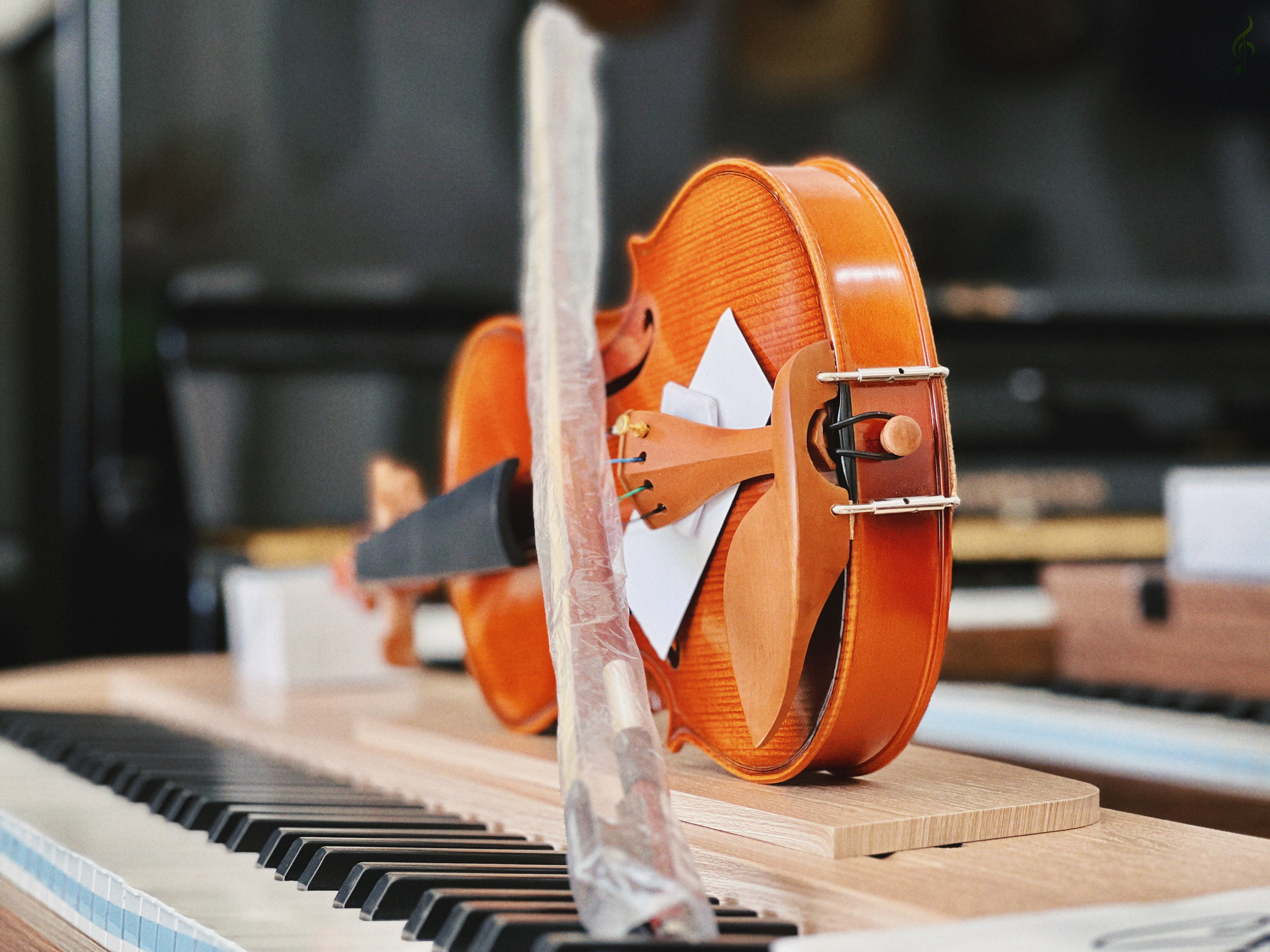 Violin cho học sinh – sinh viên ở Tây Ninh