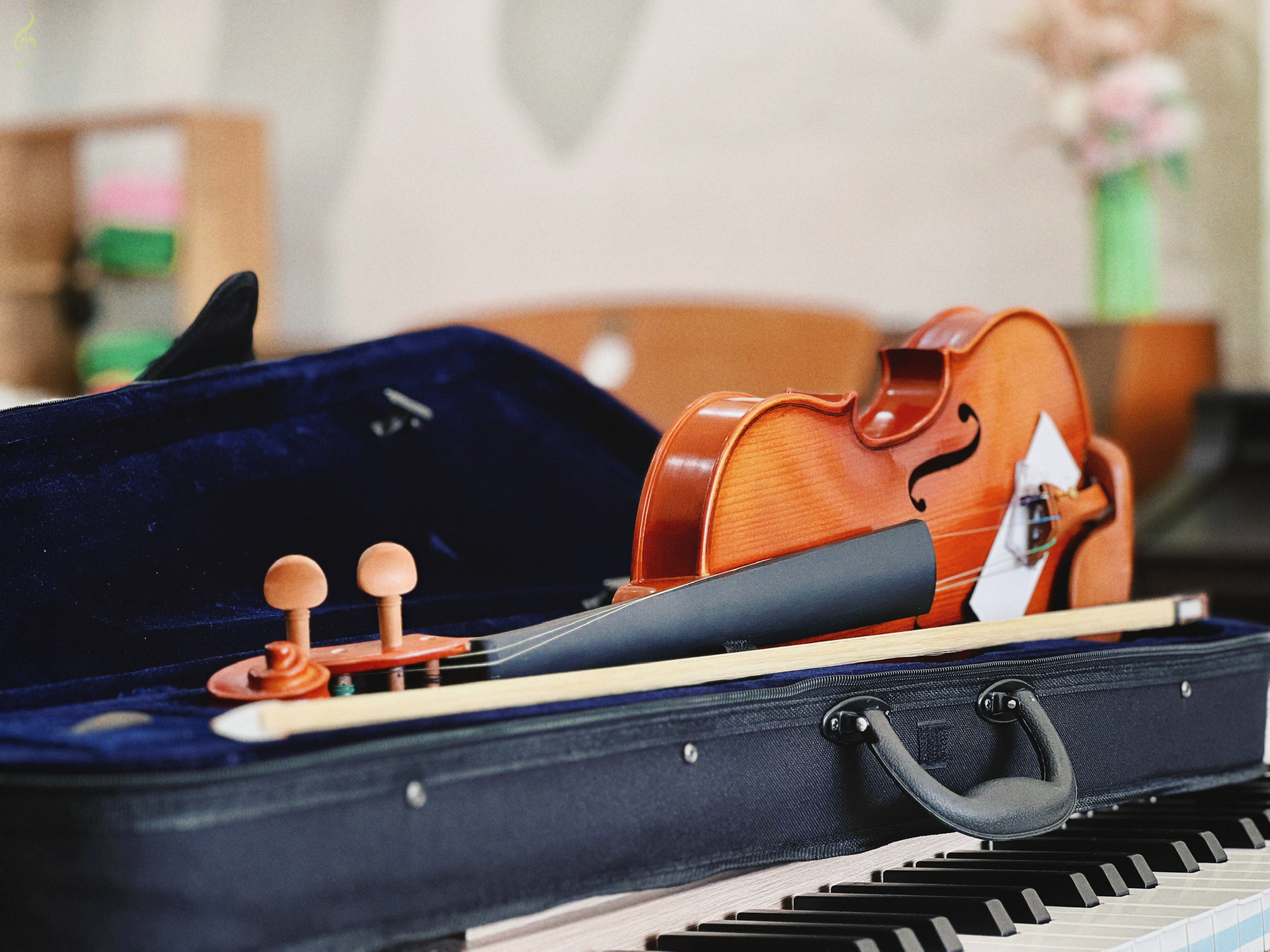 violin chất lượng ở Tây Ninh