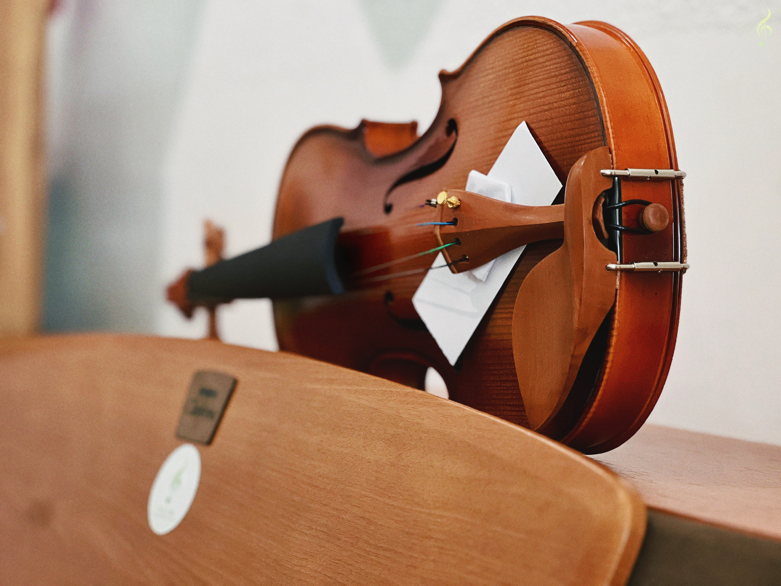 violin chất lượng ở Tây Ninh