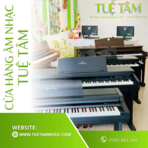Cửa hàng nhạc cụ giá rẻ tại Tây Ninh