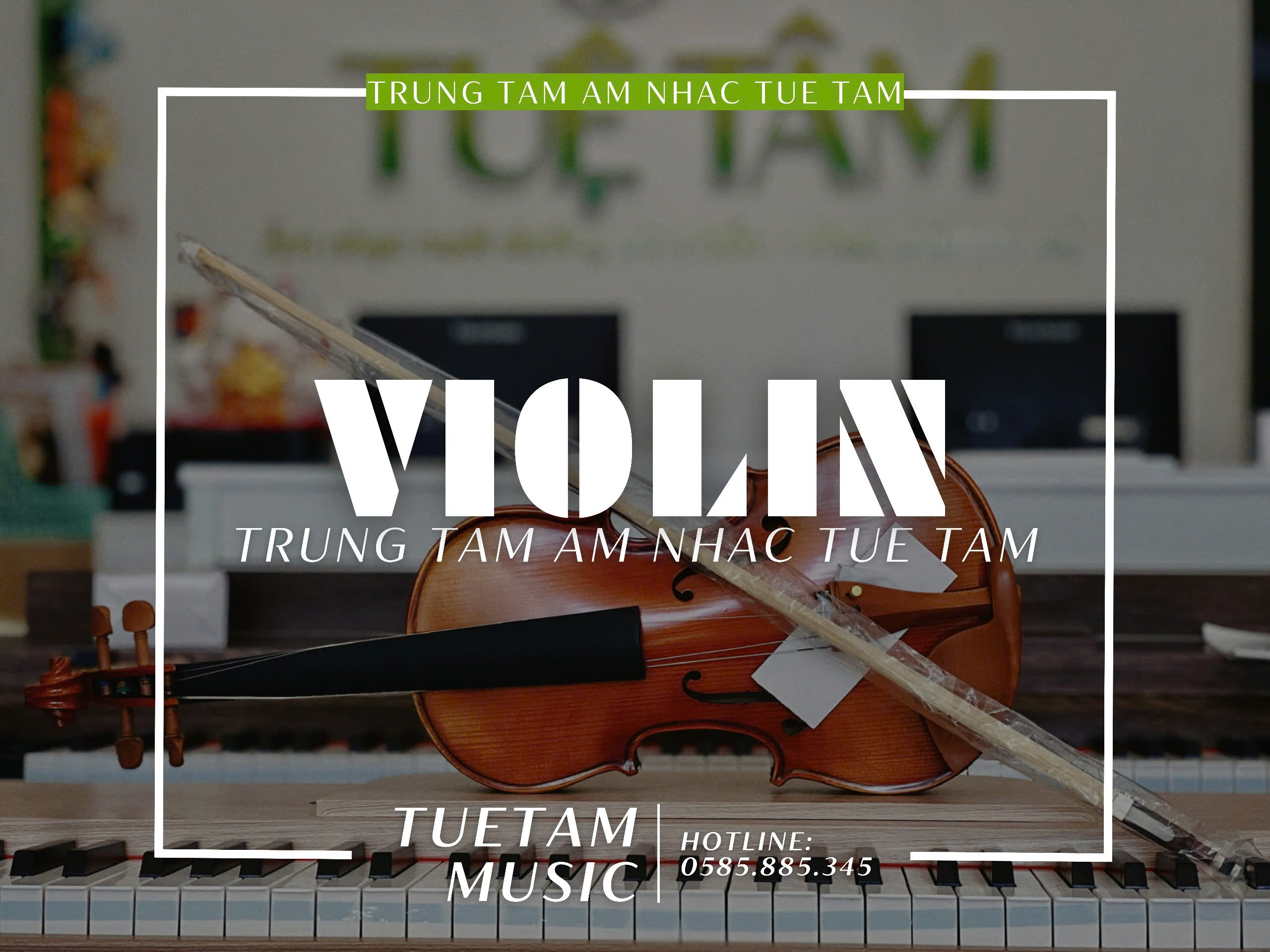 violin giá rẻ tại Tây Ninh