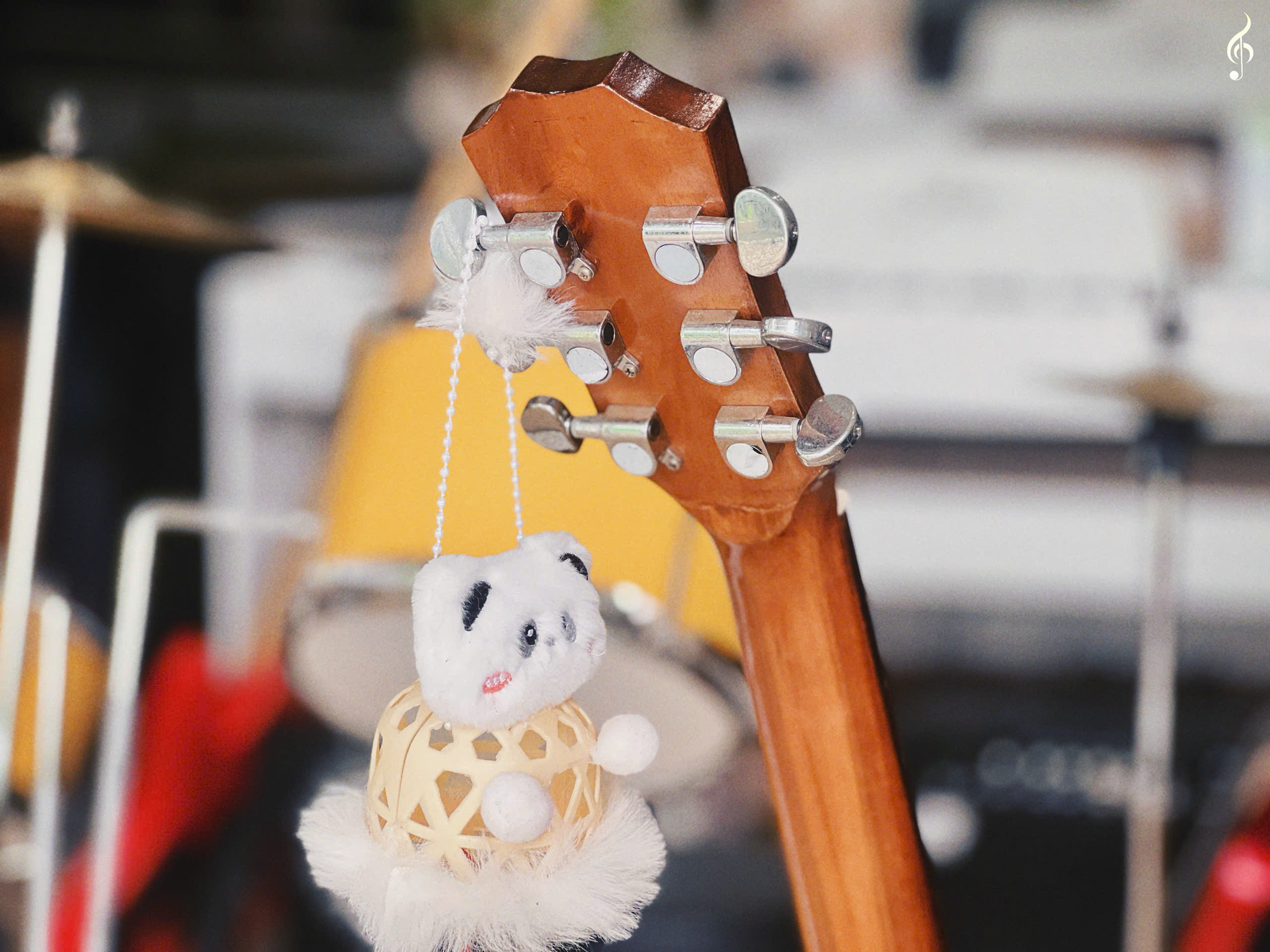 Guitar cho bé giá rẻ tại Tây Ninh