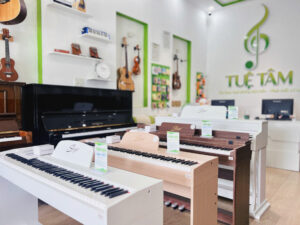 Piano điện Saiger 3619 tại Tây Ninh