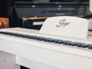 Piano Saiger 8889 tại Tây Ninh