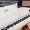 Piano Saiger 8889 tại Tây Ninh