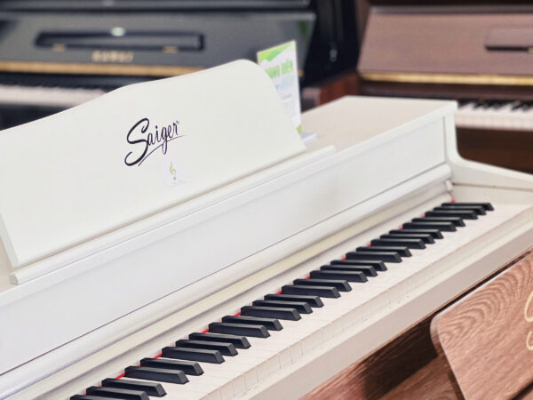 Piano Saiger 8889 tại Tây Ninh