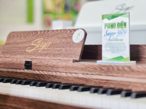 Piano điện Saiger 3619 tại Tây Ninh