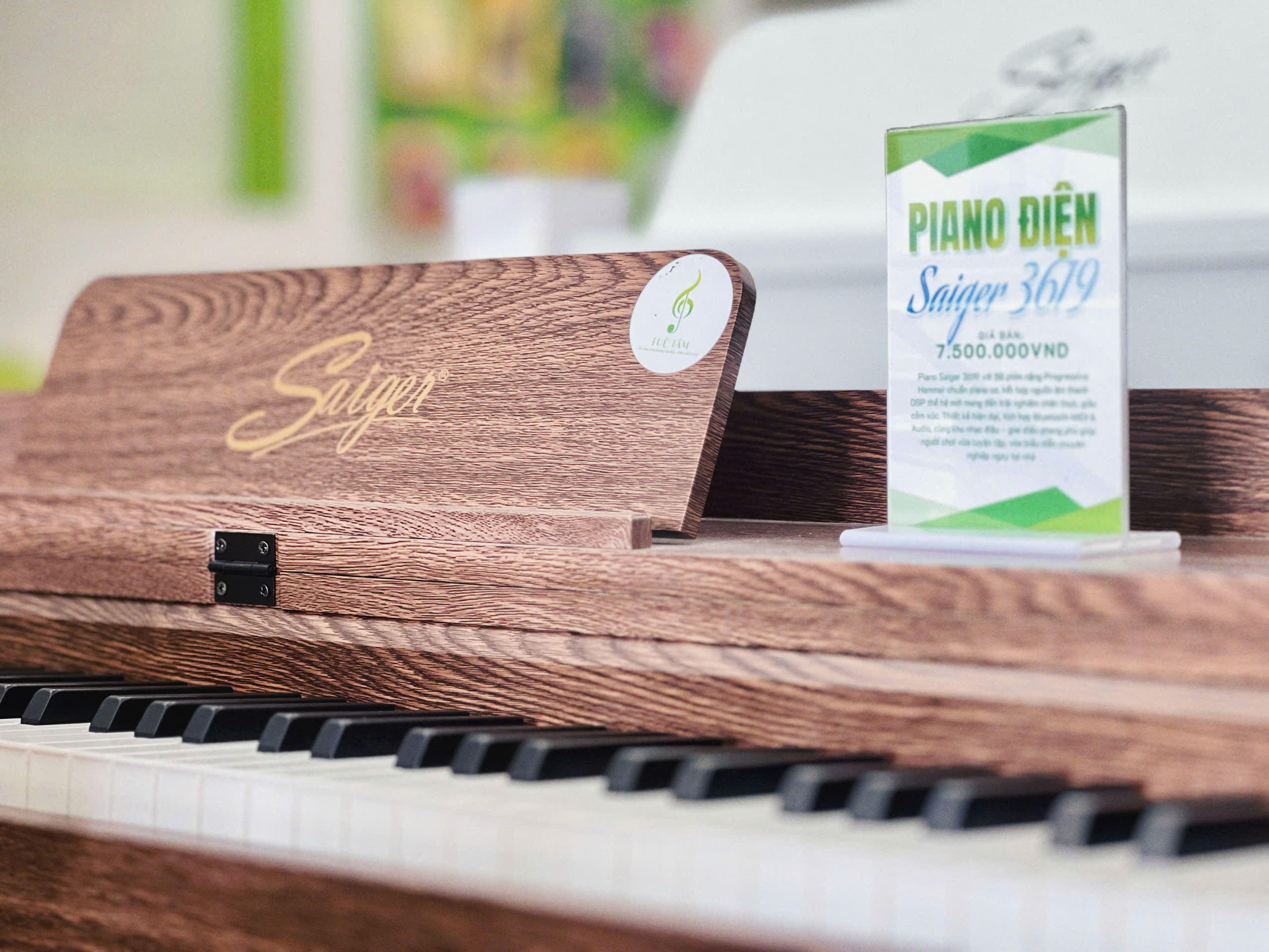 Piano điện Saiger 3619 tại Tây Ninh