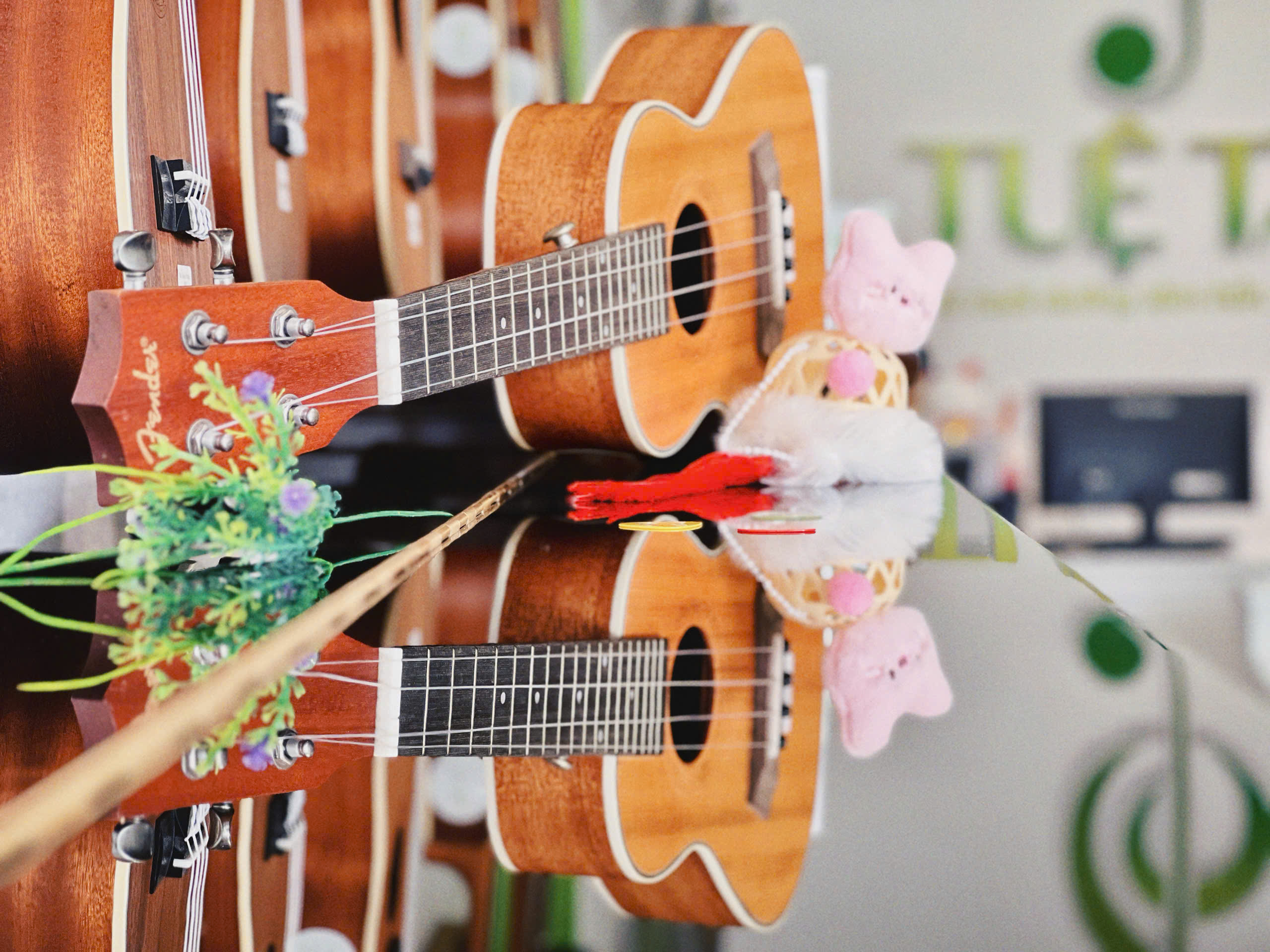 Mua Ukulele chính hãng cho bé tại Tây Ninh