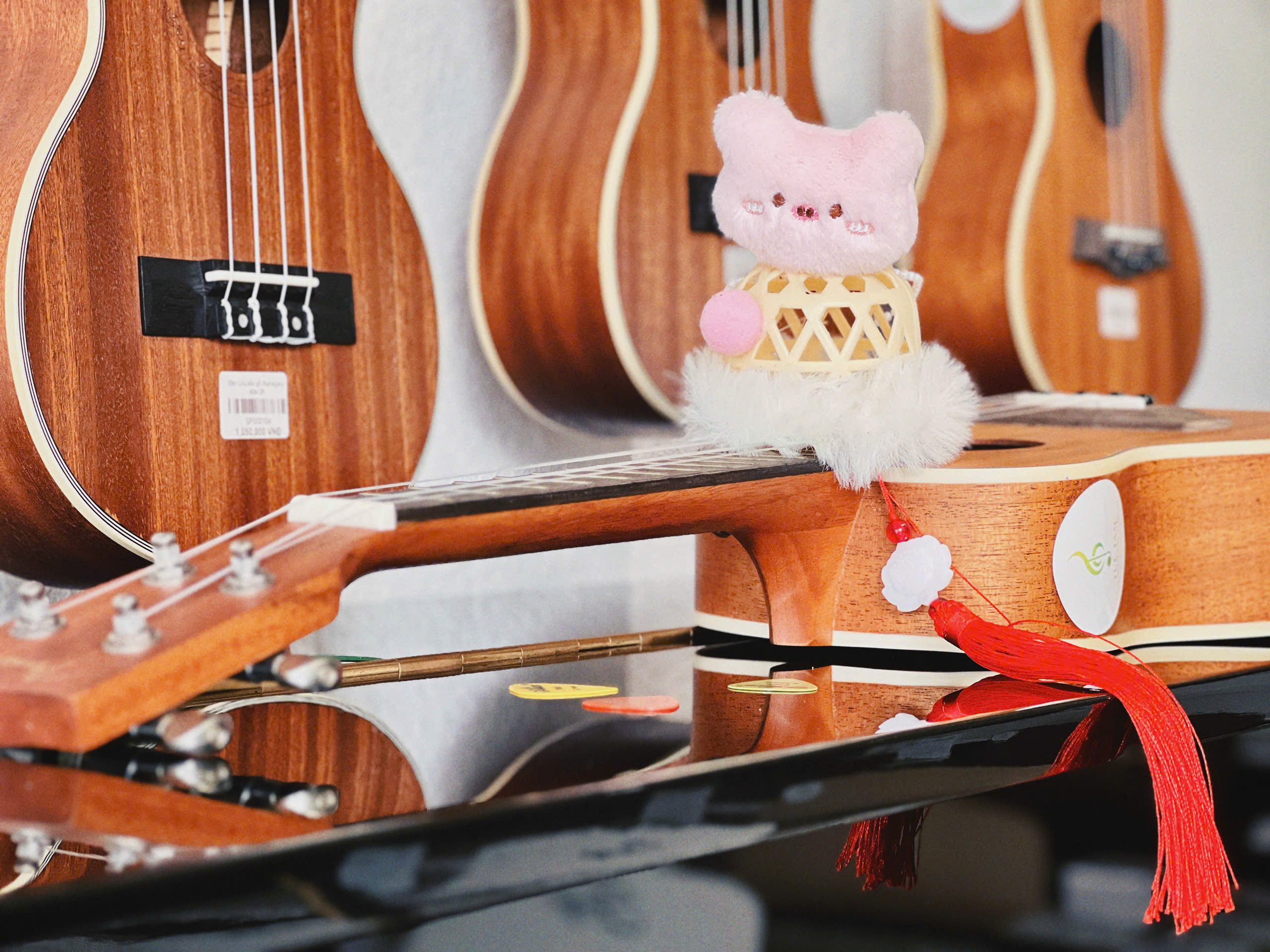 Mua Ukulele chính hãng cho bé tại Tây Ninh