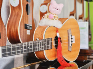 Đàn Ukulele Fender chính hãng tại Tây Ninh