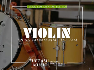 violin giá rẻ tại Tây Ninh