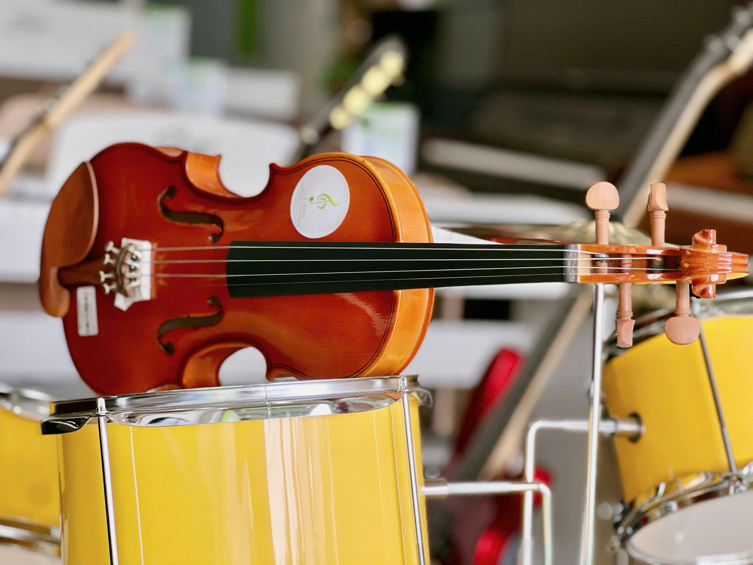 Đàn violin cho bé tại Tây Ninh