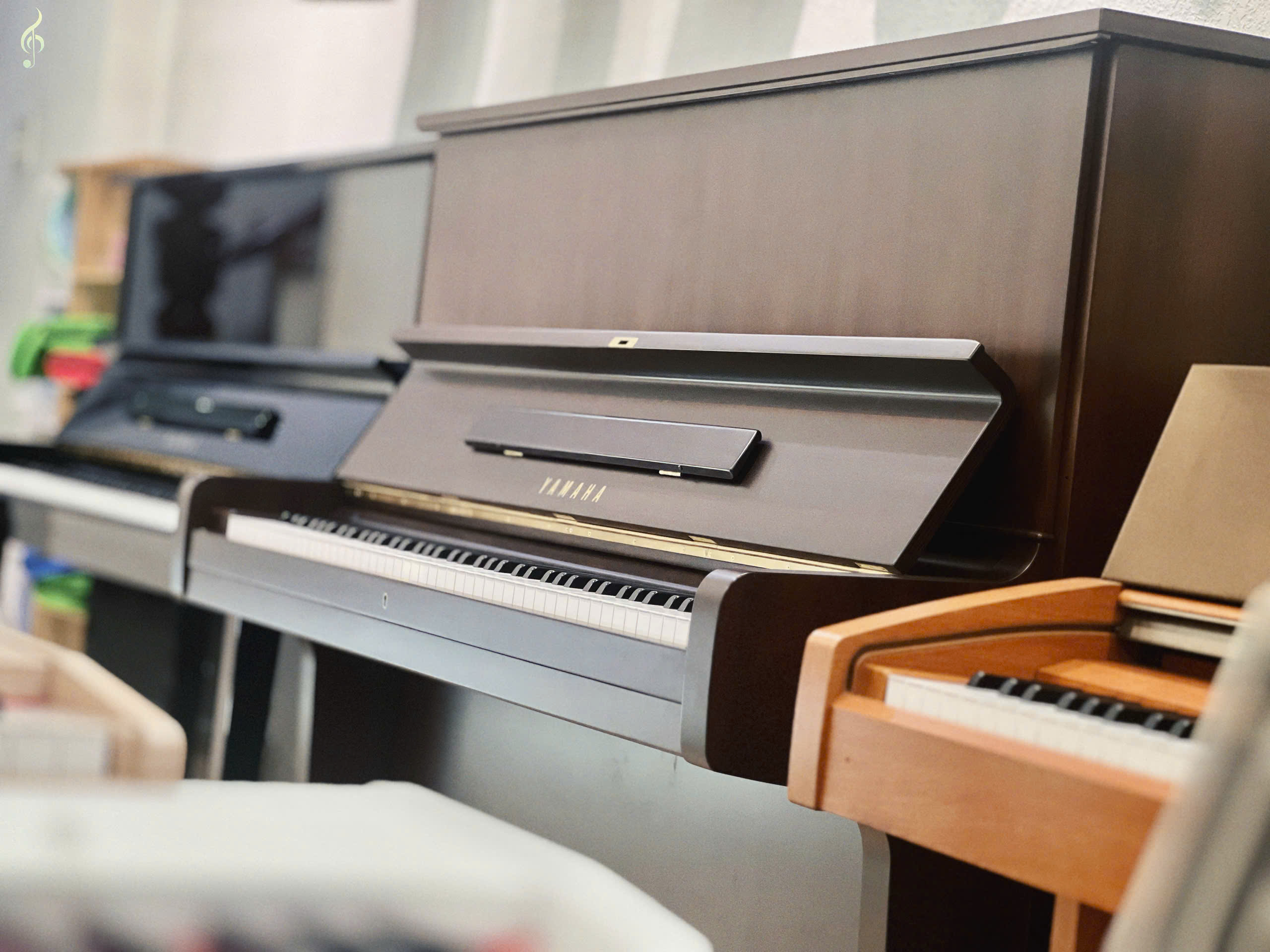 cửa hàng piano cơ giá rẻ tại tây ninh
