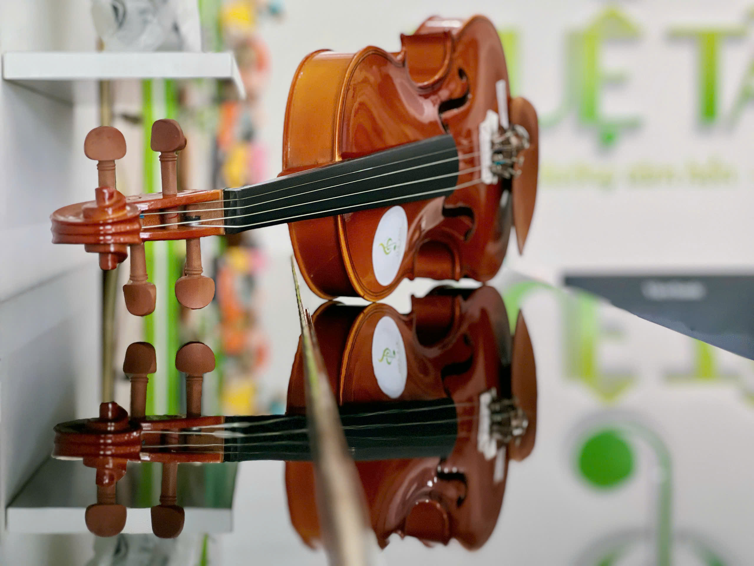 Đàn violin cho bé tại Tây Ninh