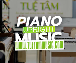 Cửa hàng Piano cơ giá rẻ tại Tây Ninh