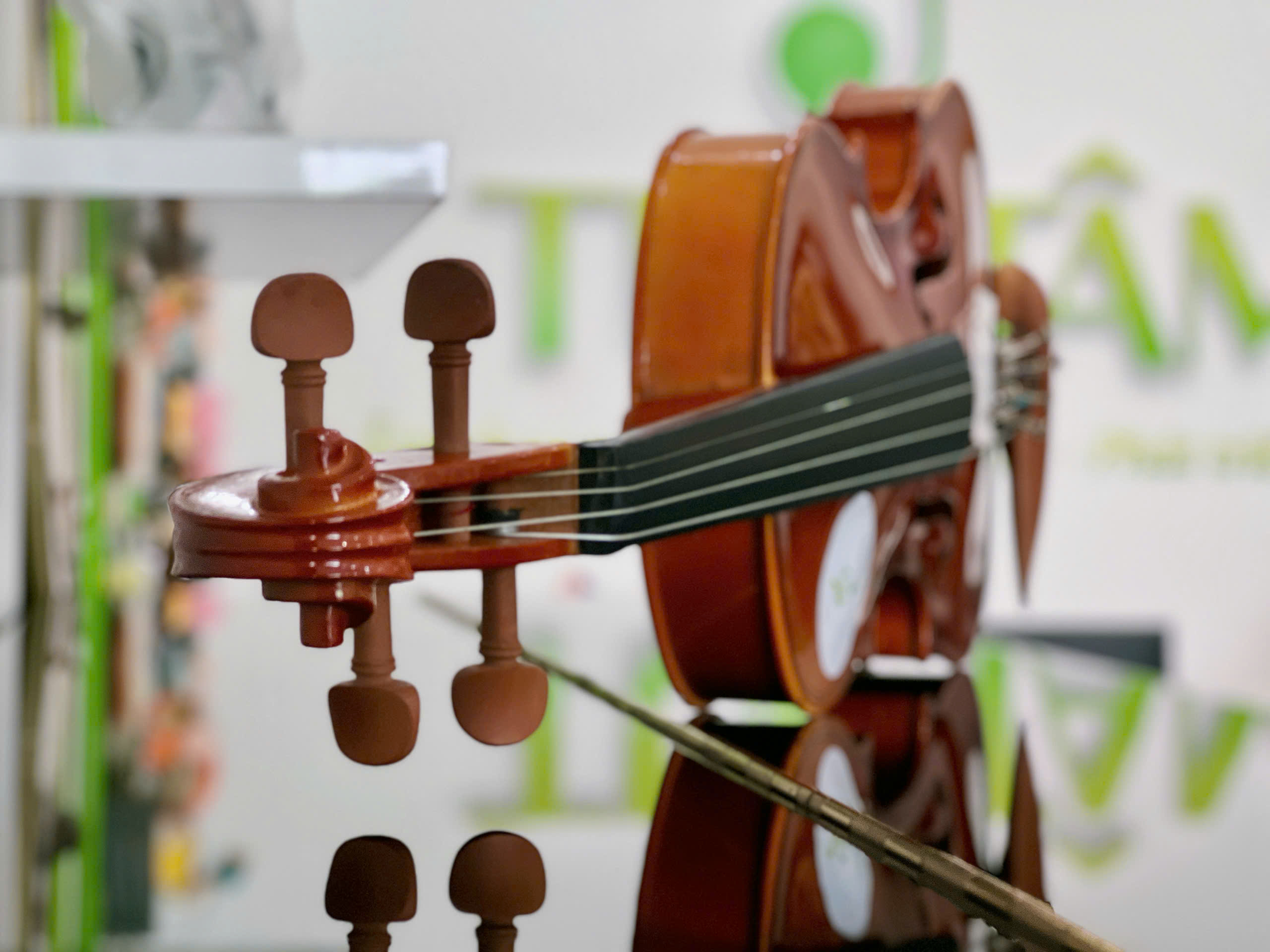 Đàn Violin chính hãng tại Tây Ninh